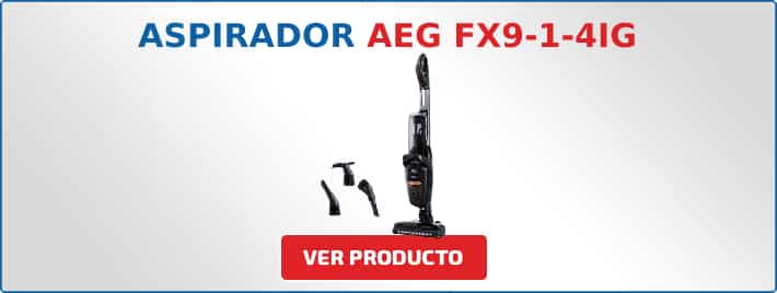 aspirador AEG FX9-1-4IG