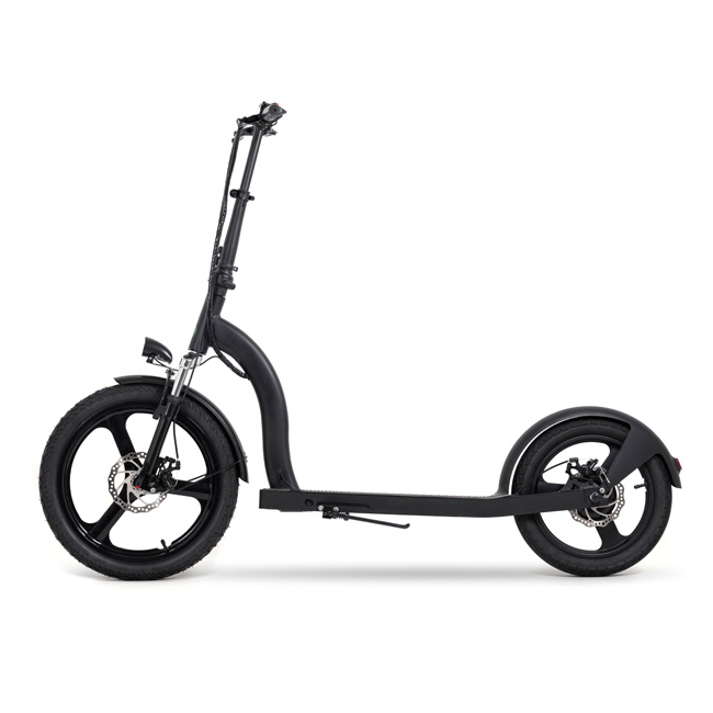 Patinete eléctrico Youin SC5000 2XL